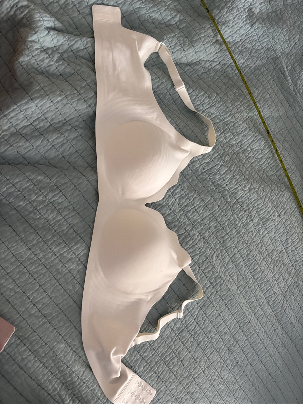 Seamless White Scalloped Edge T-Shirt Bra - Women Intimates